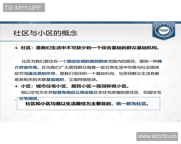 残酷竞争中的生存法则与企业突围之道探究
