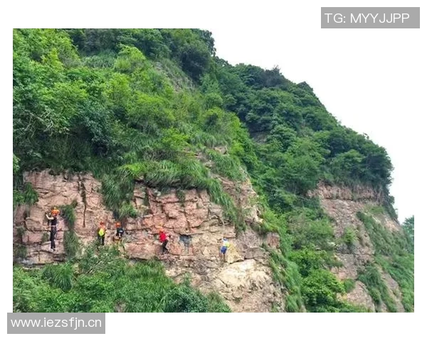 杨芳专访:从初学者到攀岩高手的心路历程与成长故事 杨芳专访:从初学者到攀岩高手的心路历程与成长故事